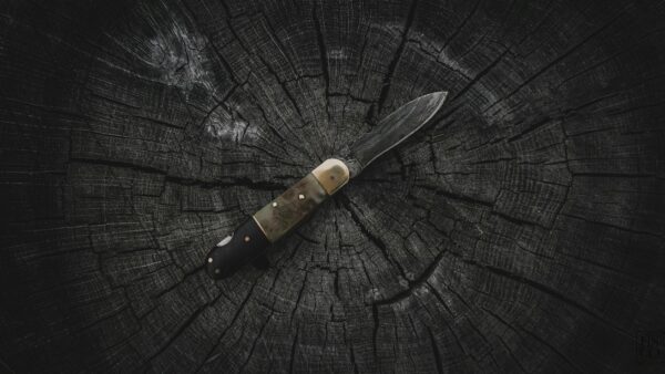 A sharp pocket knife displayed on a rugged, weathered tree stump outdoors.